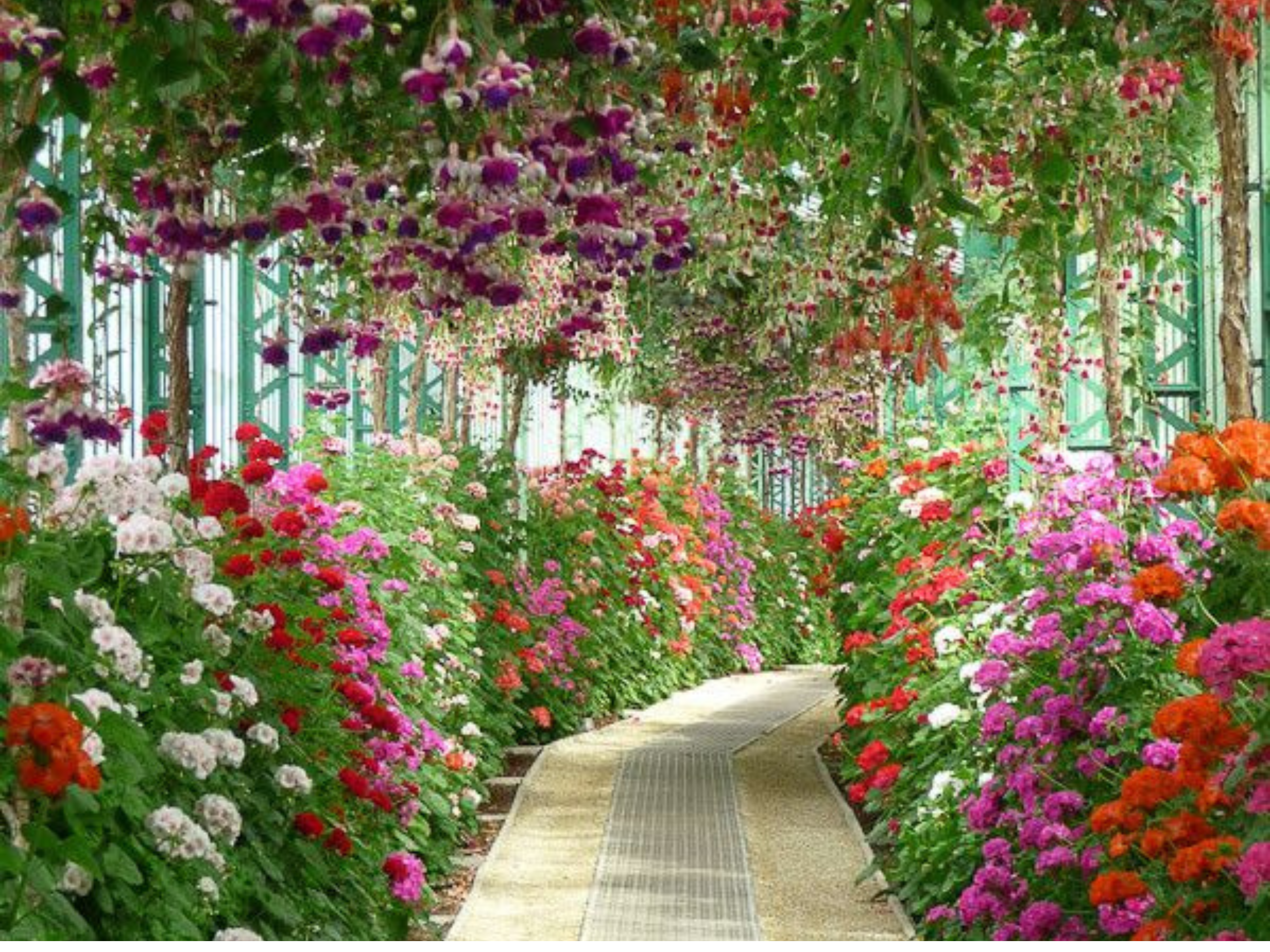 7 Best Hart Landscapes Ideas to Transform Your Garden